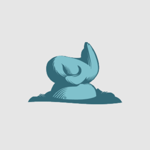 Sausalito Foundation logo